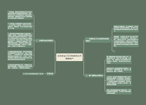 注册资金3万元有债务如何清算破产