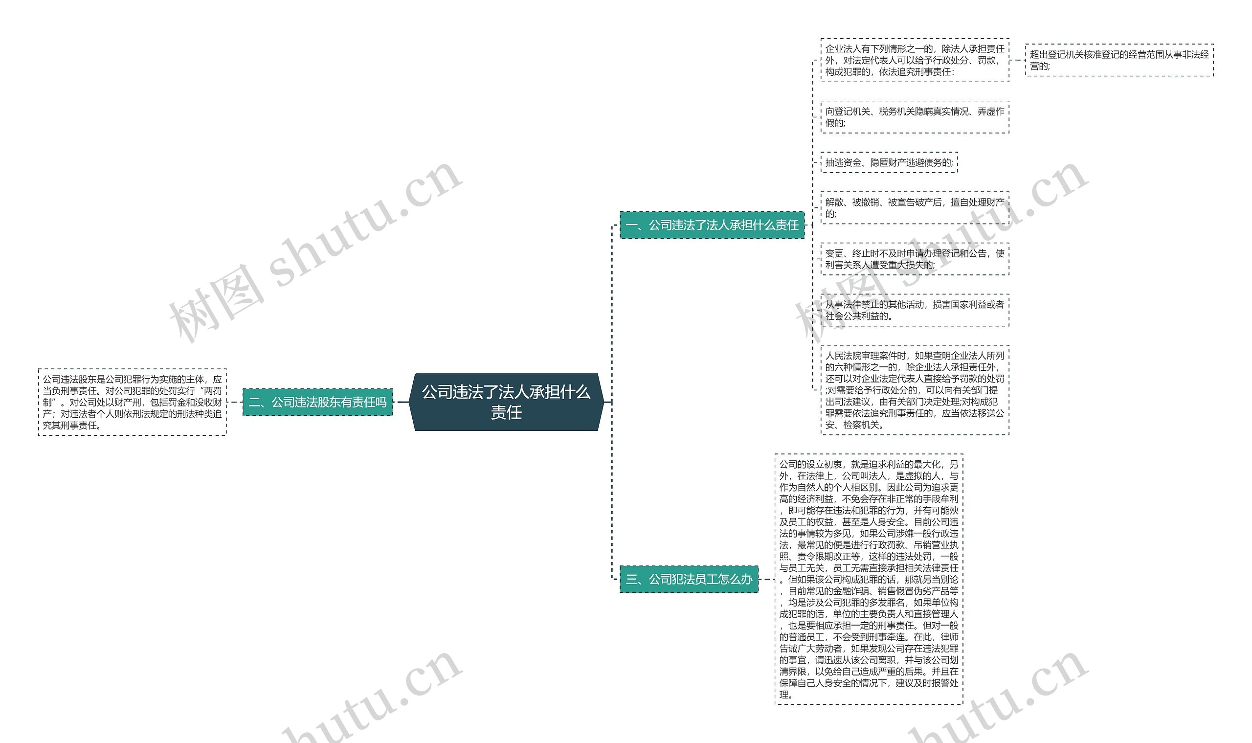 公司违法了法人承担什么责任