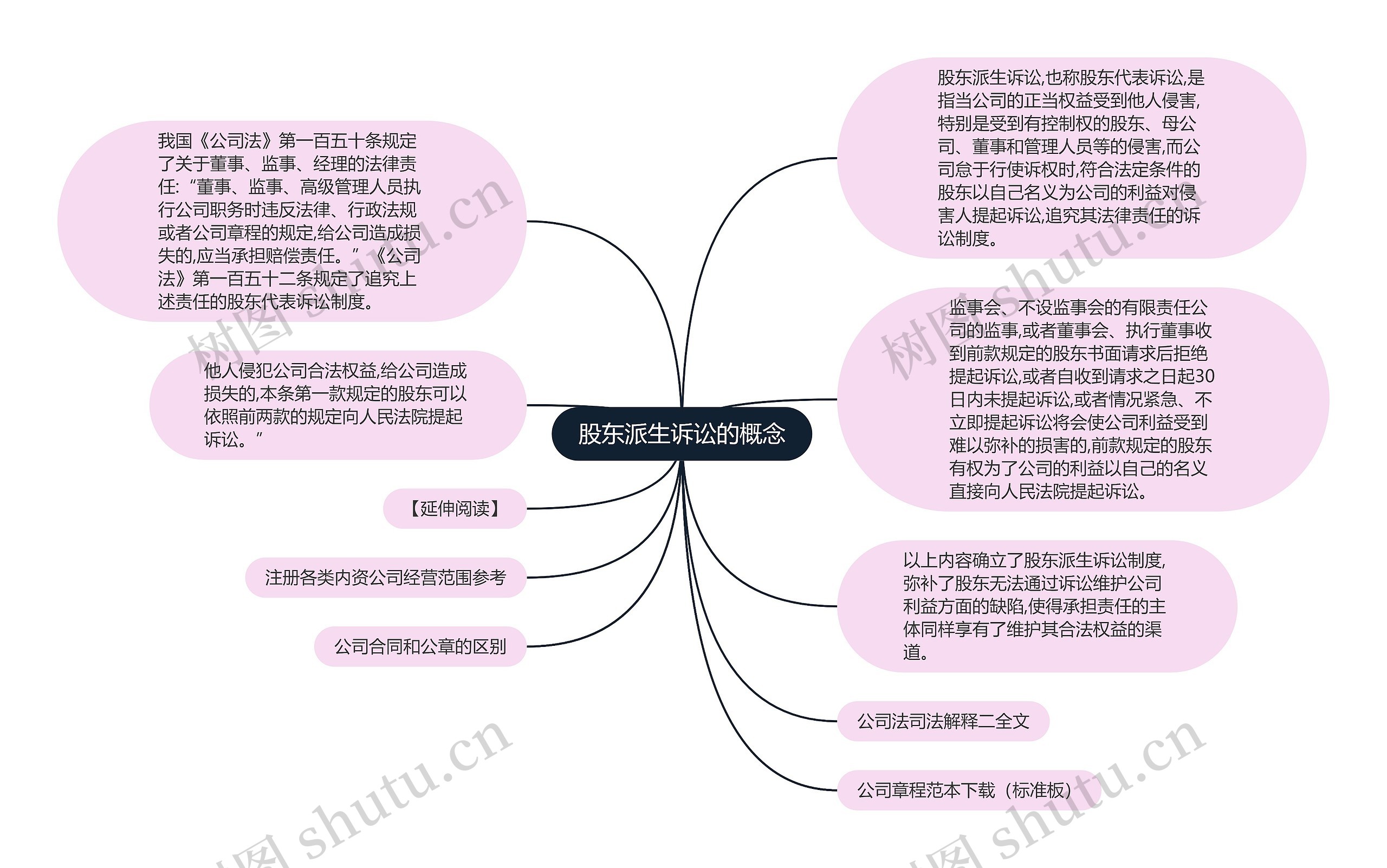 股东派生诉讼的概念