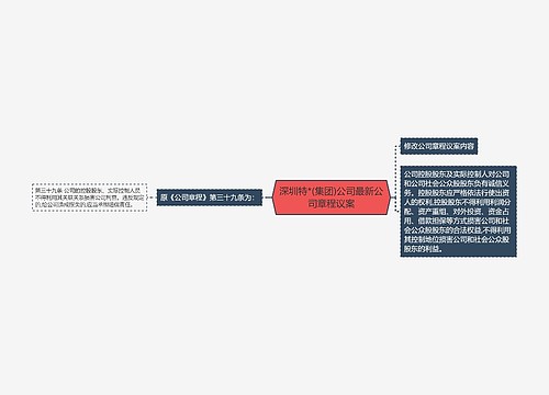 深圳特*(集团)公司最新公司章程议案