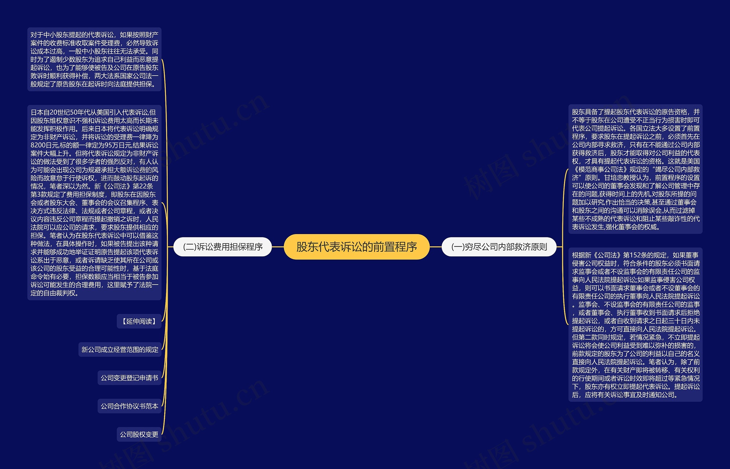股东代表诉讼的前置程序思维导图