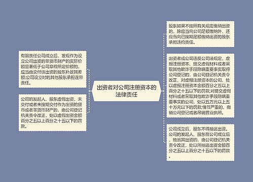 出资者对公司注册资本的法律责任
