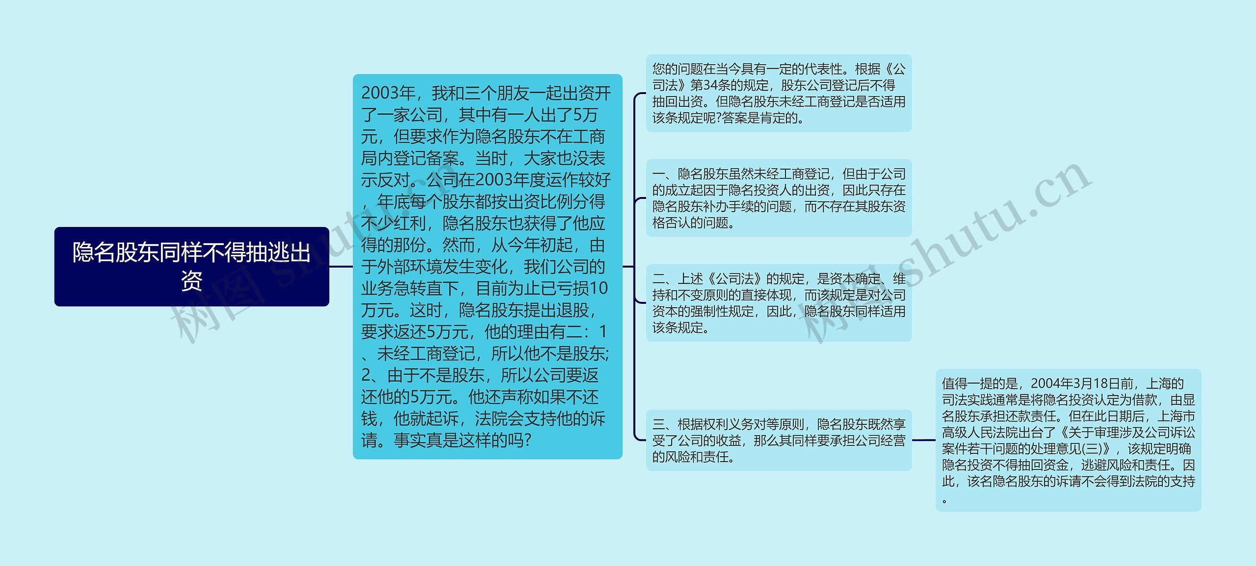 隐名股东同样不得抽逃出资思维导图