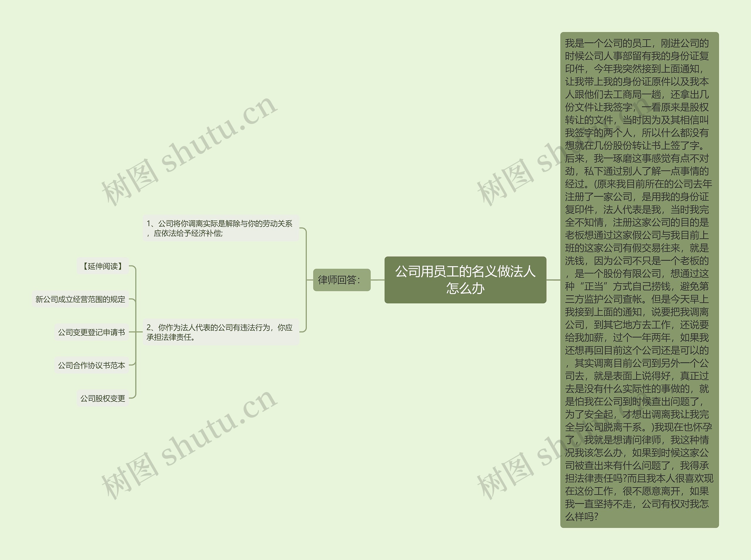 公司用员工的名义做法人怎么办思维导图