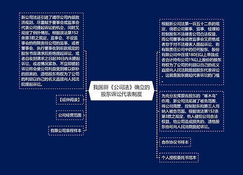 我国新《公司法》确立的股东诉讼代表制度