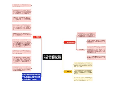 关于发起设立拟上市股份有限公司审理程序的意见