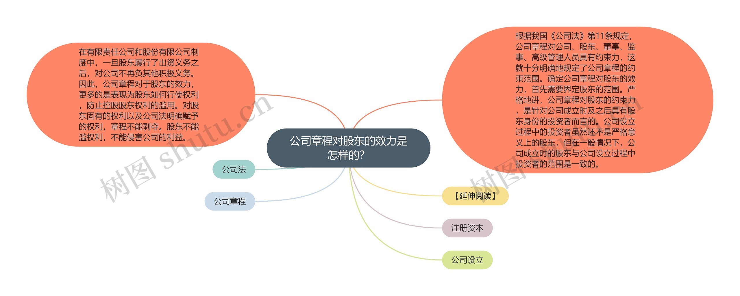 公司章程对股东的效力是怎样的？