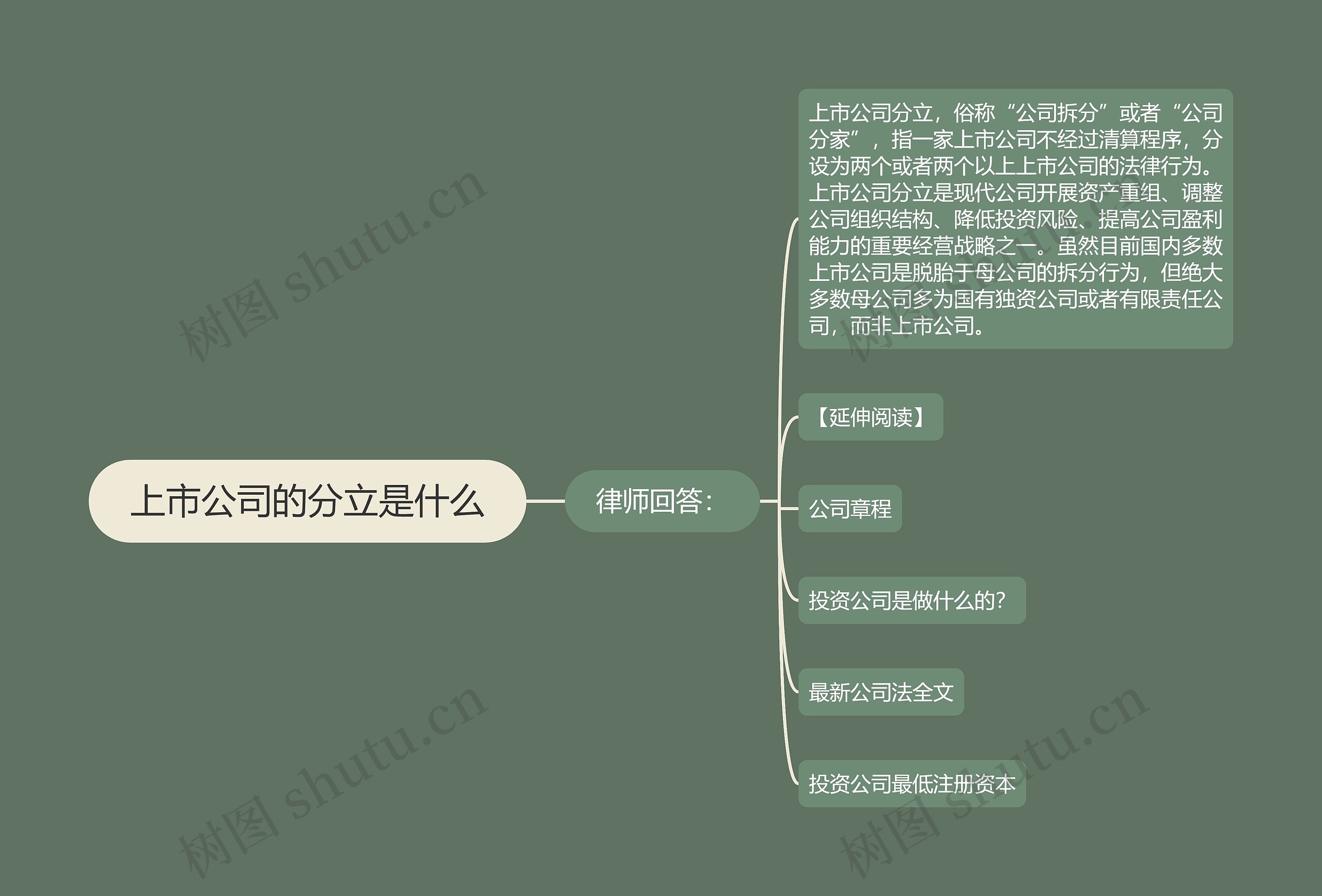 上市公司的分立是什么