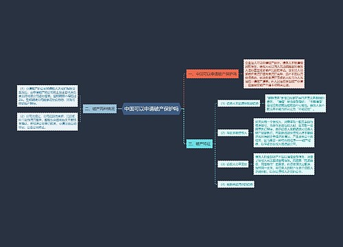 中国可以申请破产保护吗