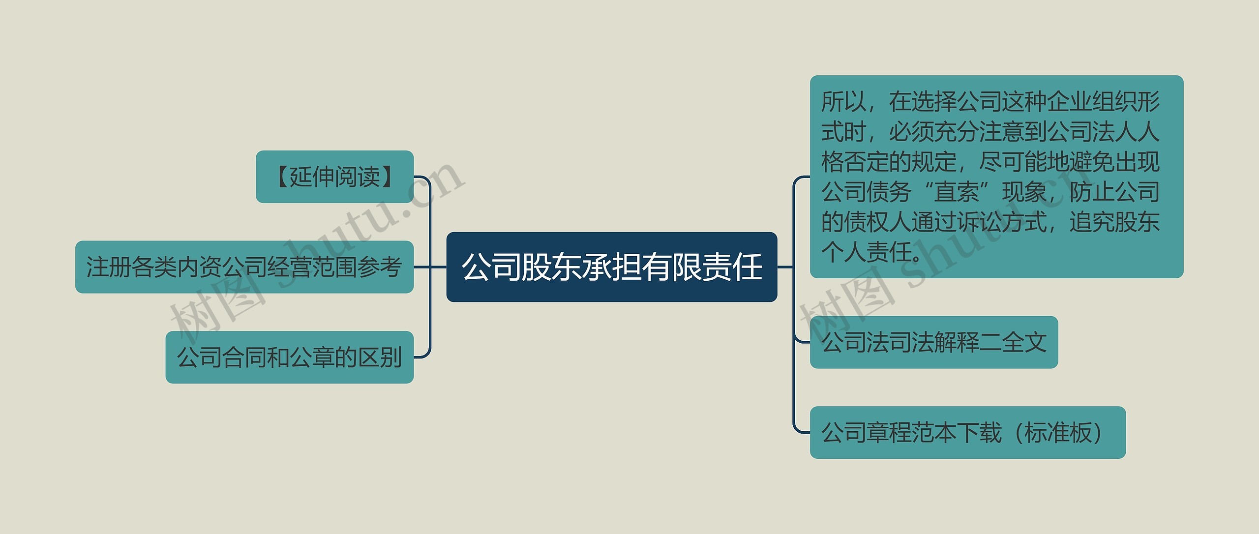 公司股东承担有限责任