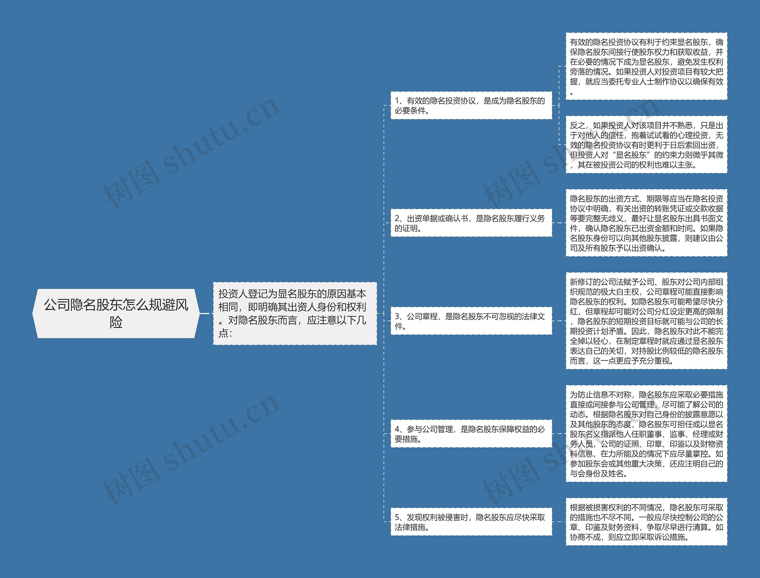 公司隐名股东怎么规避风险思维导图