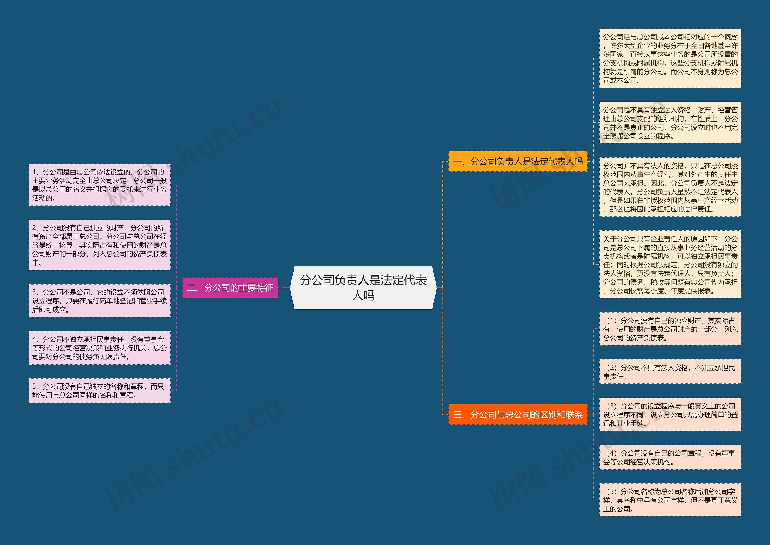 分公司负责人是法定代表人吗思维导图