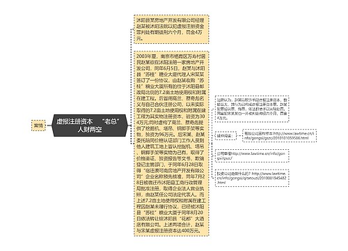 虚报注册资本　“老总”人财两空