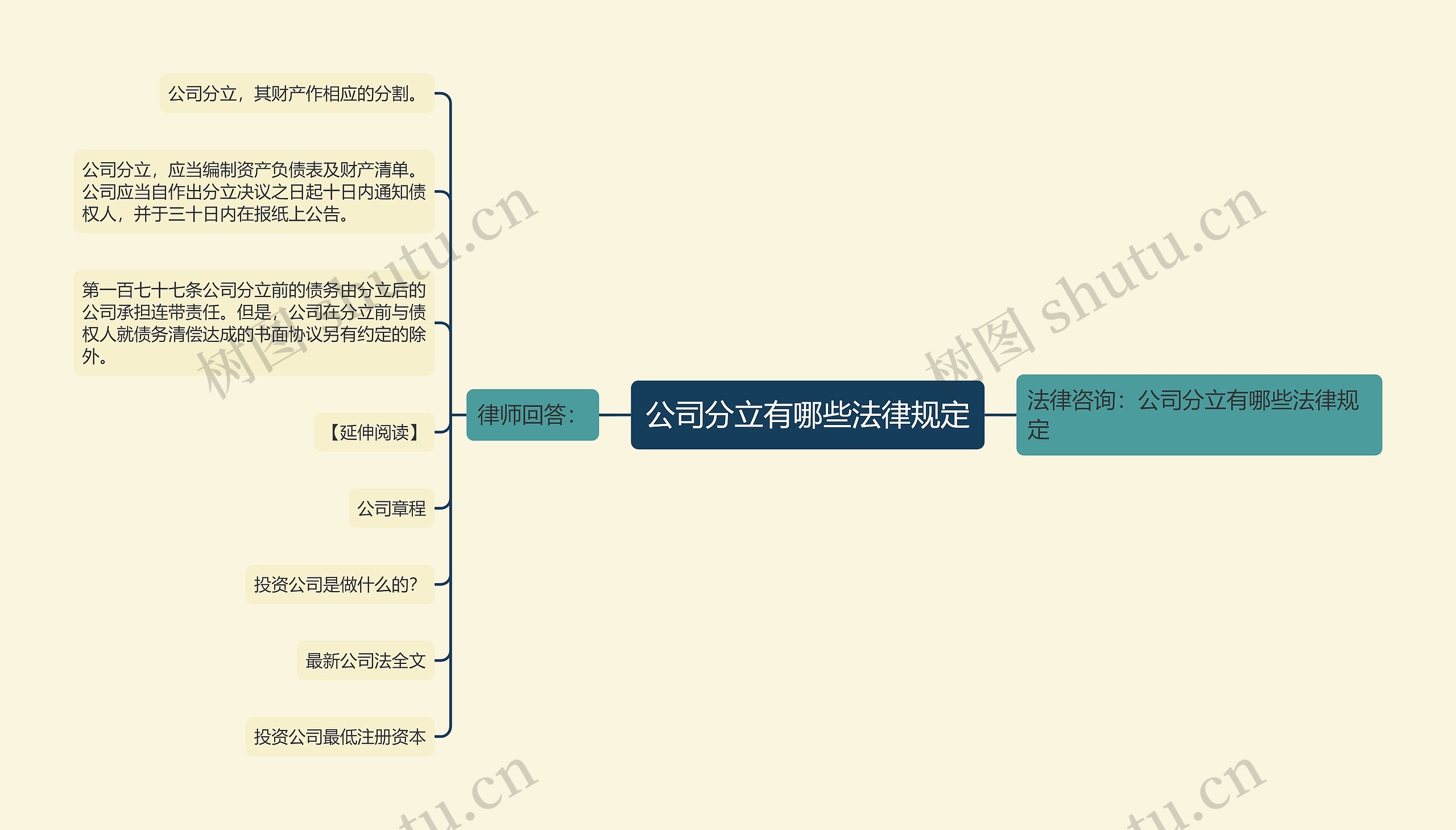 公司分立有哪些法律规定思维导图