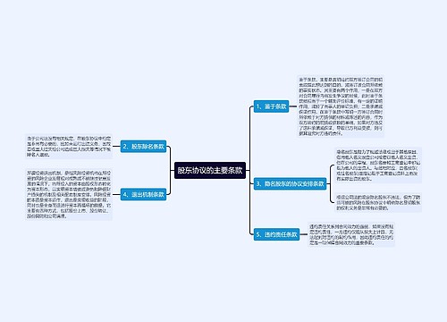 股东协议的主要条款