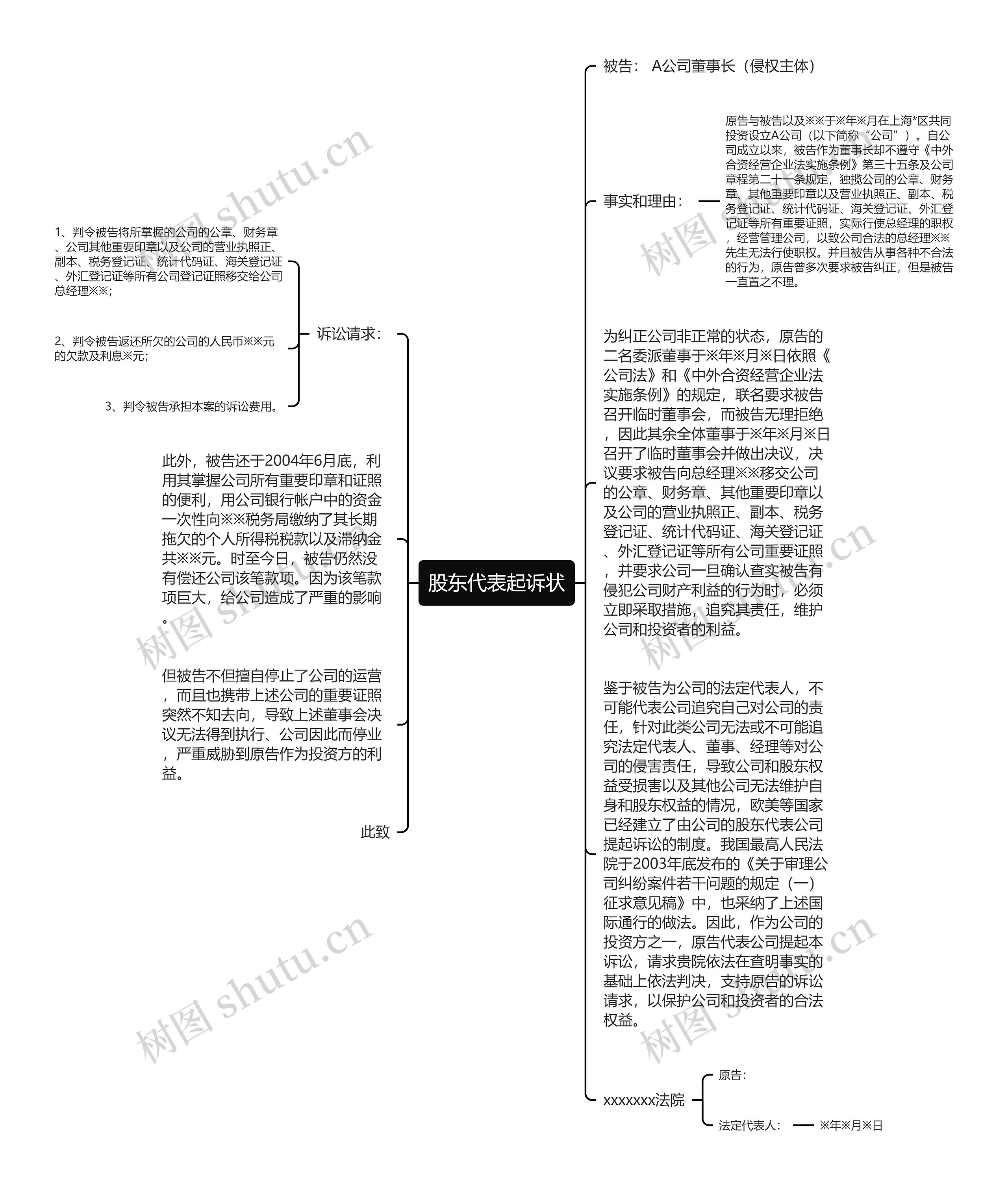 股东代表起诉状