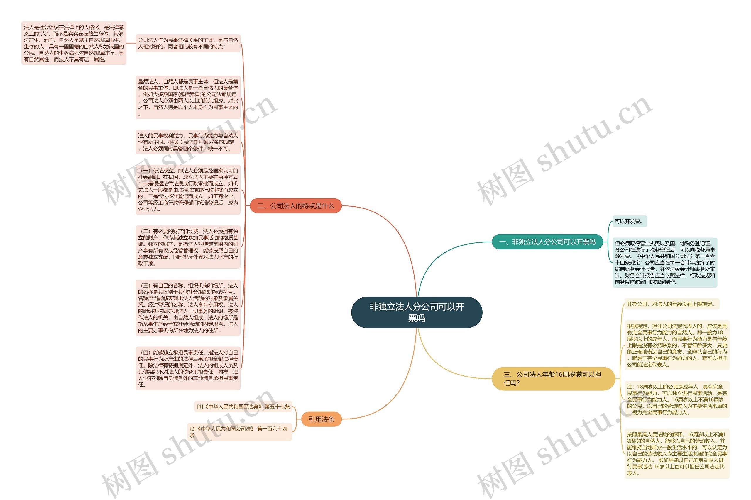 非独立法人分公司可以开票吗思维导图