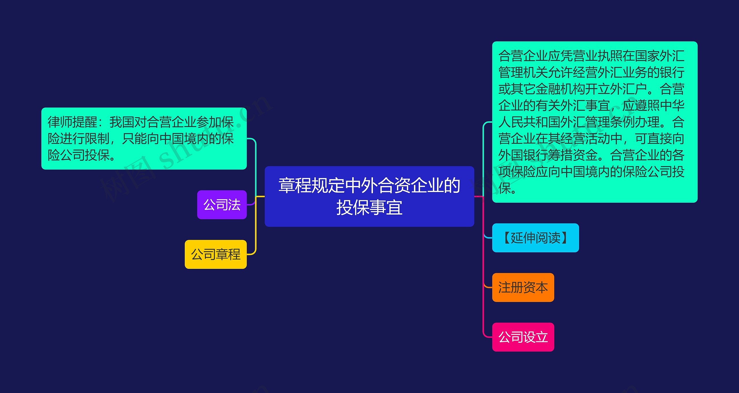 章程规定中外合资企业的投保事宜思维导图