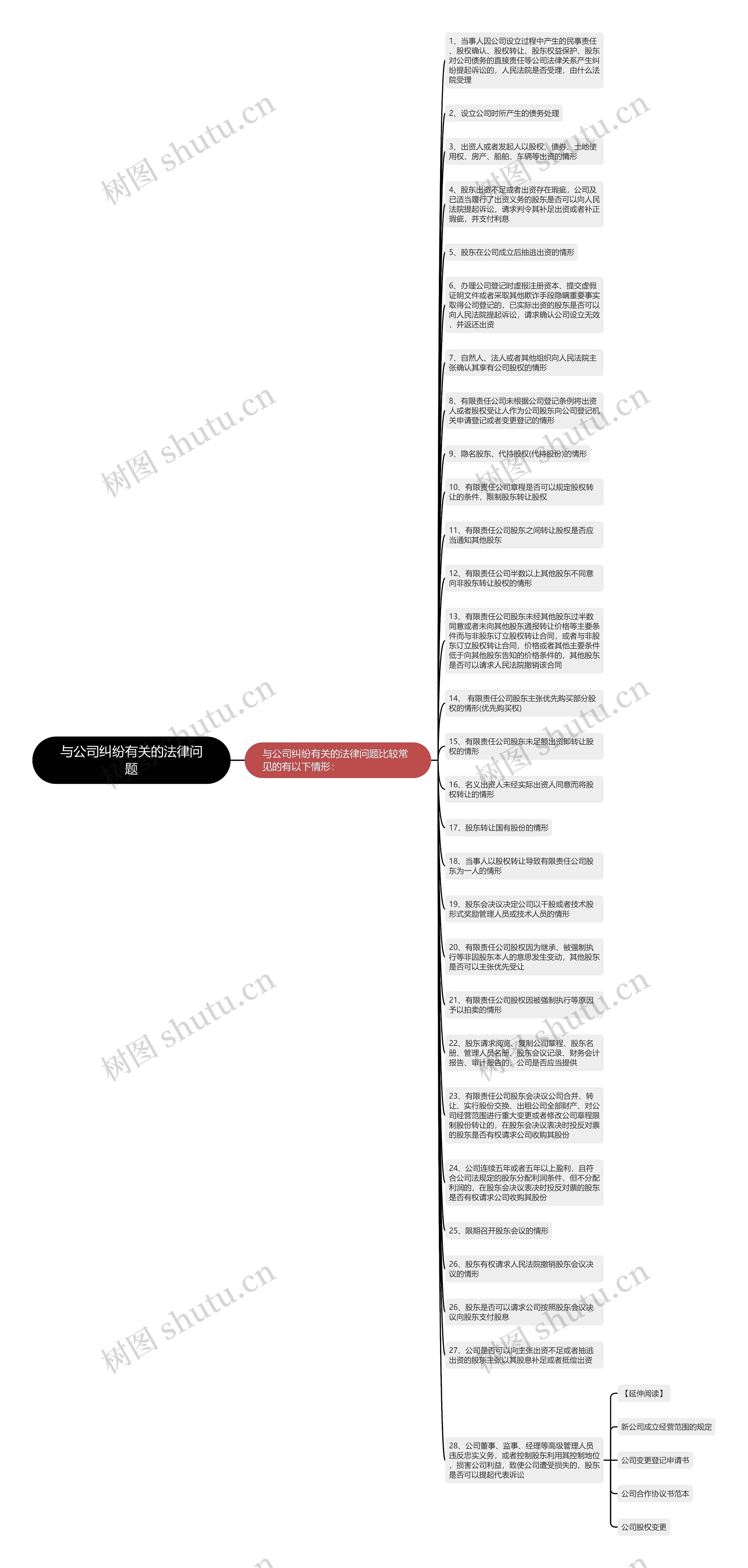 与公司纠纷有关的法律问题思维导图