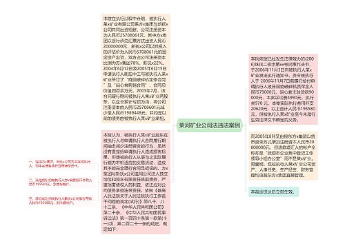 莱河矿业公司法违法案例