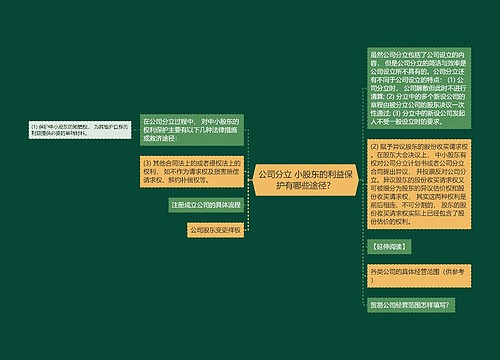 公司分立 小股东的利益保护有哪些途径？