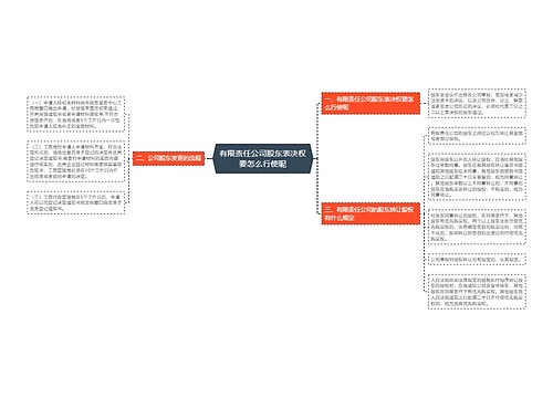 有限责任公司股东表决权要怎么行使呢