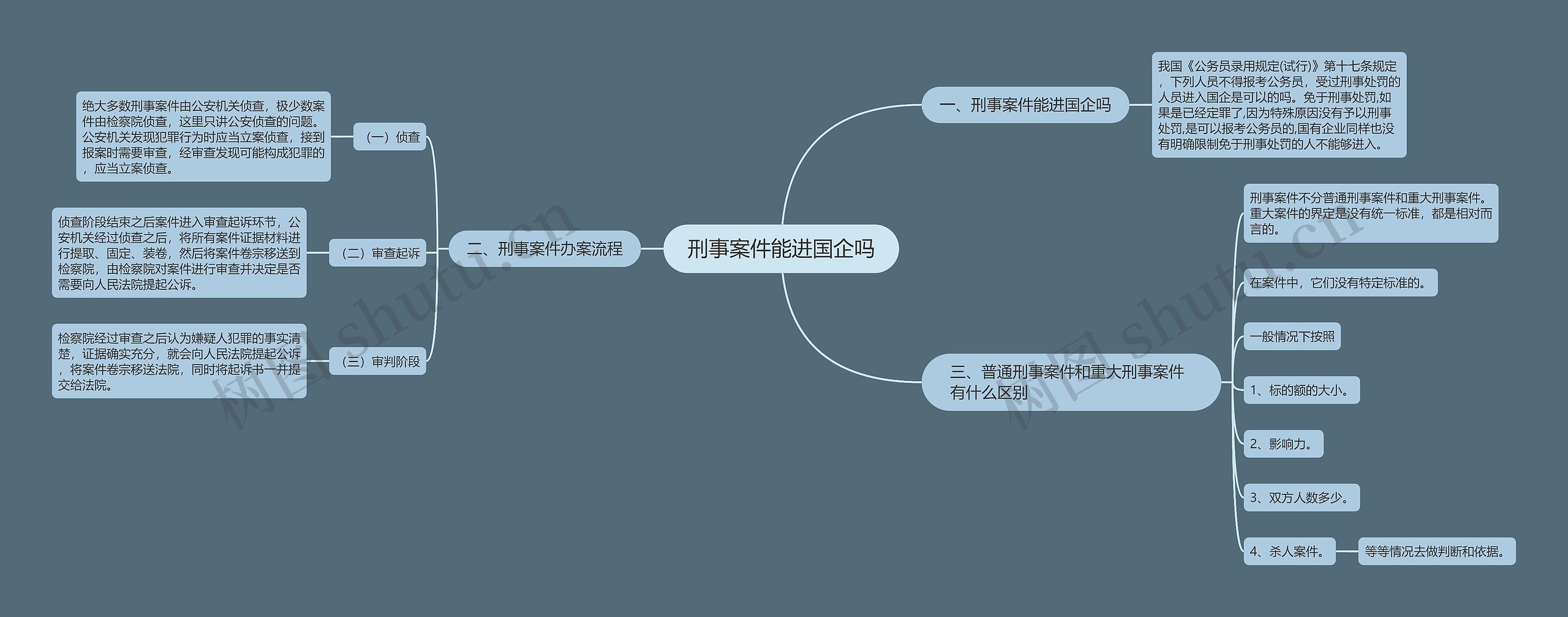 刑事案件能进国企吗思维导图