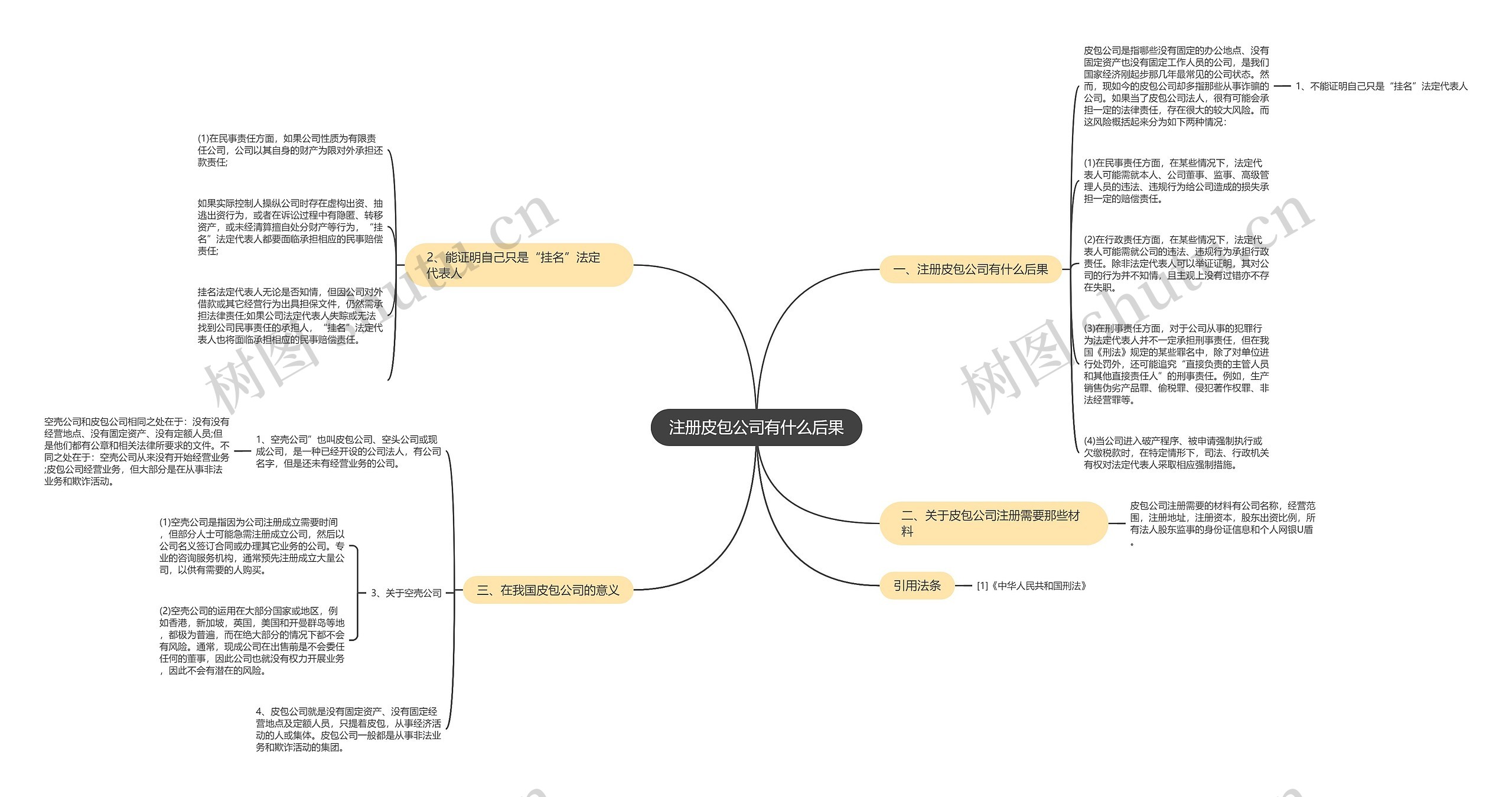 注册皮包公司有什么后果