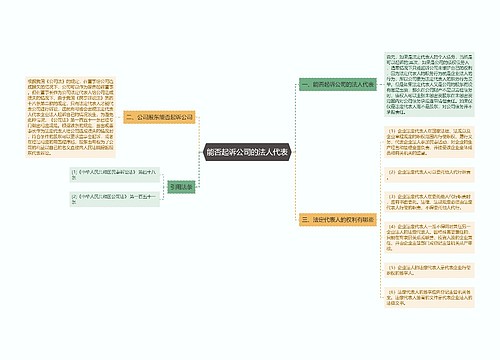 能否起诉公司的法人代表