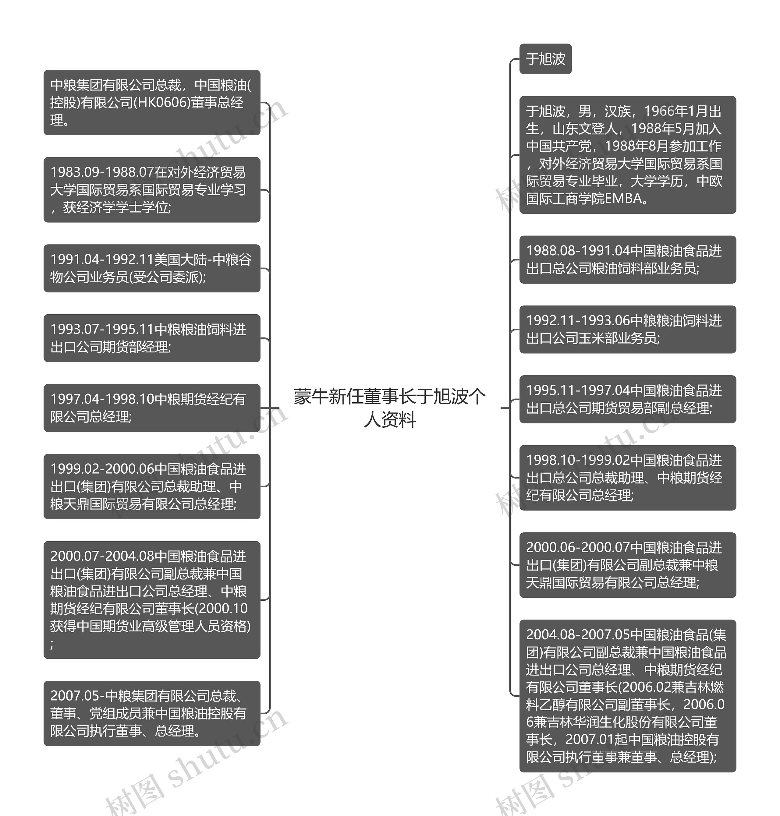 蒙牛新任董事长于旭波个人资料