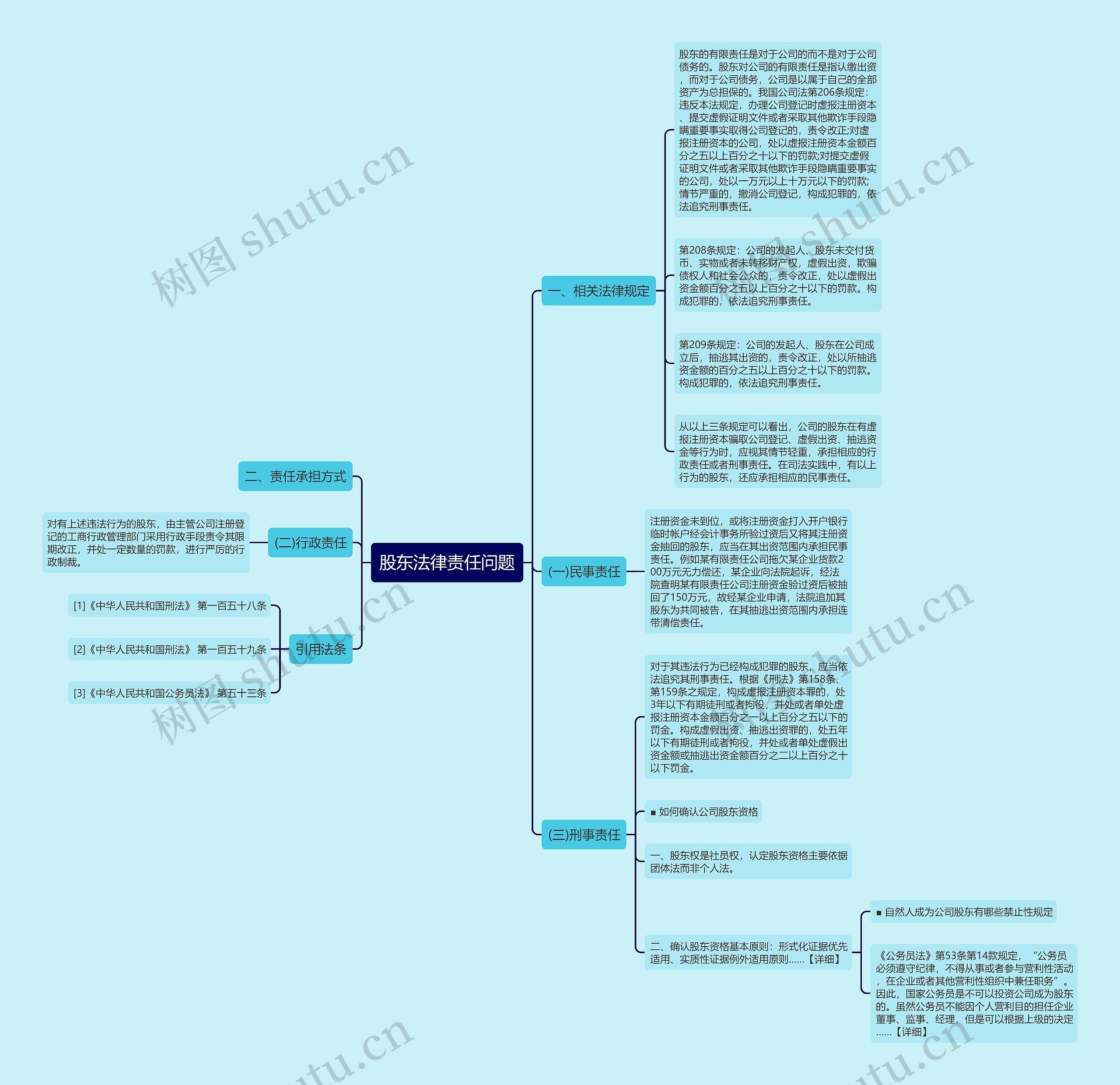 股东法律责任问题 股东法律责任问题