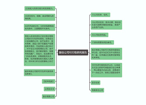 股份公司可行性研究报告