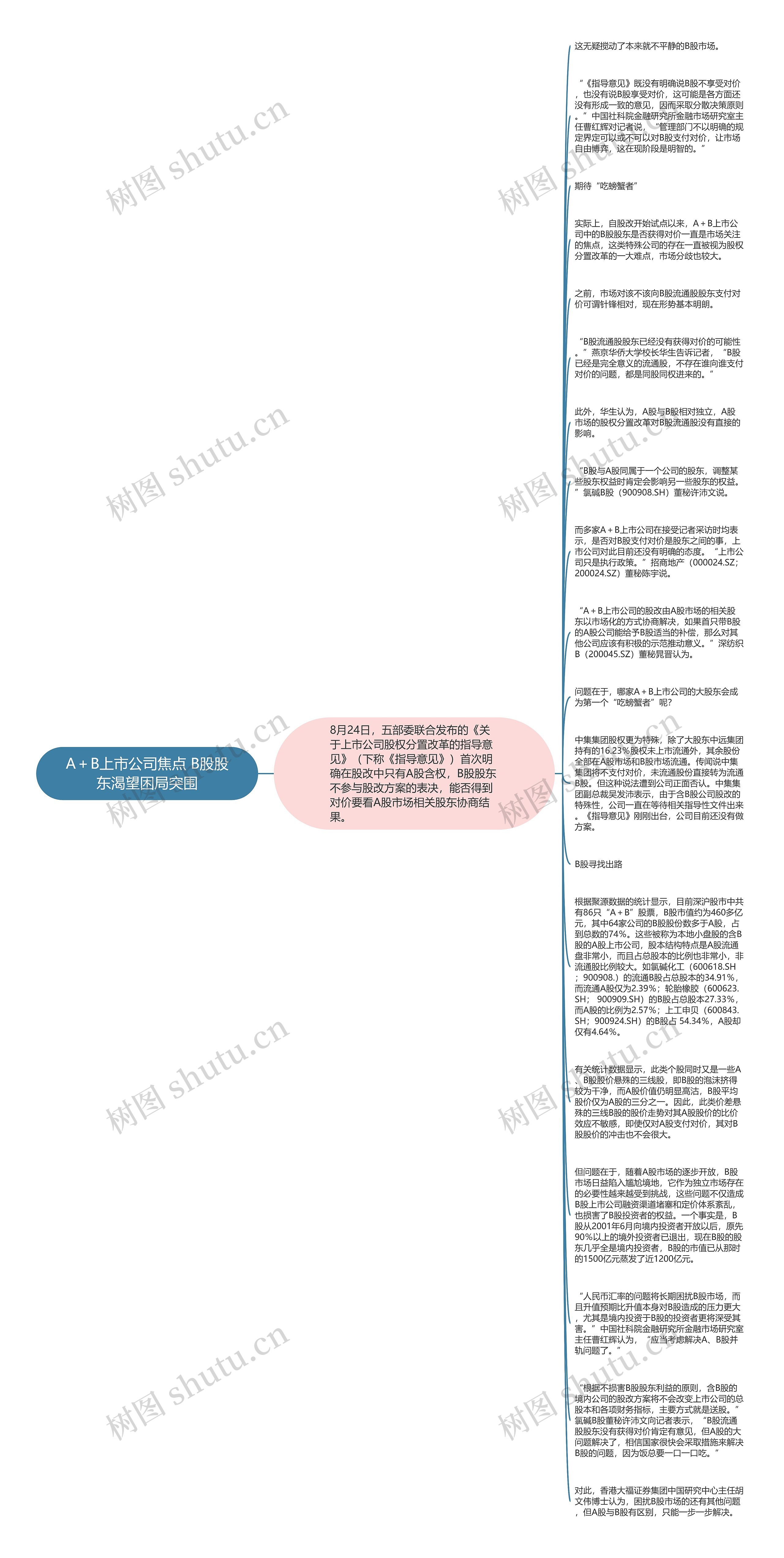 A＋B上市公司焦点 B股股东渴望困局突围思维导图