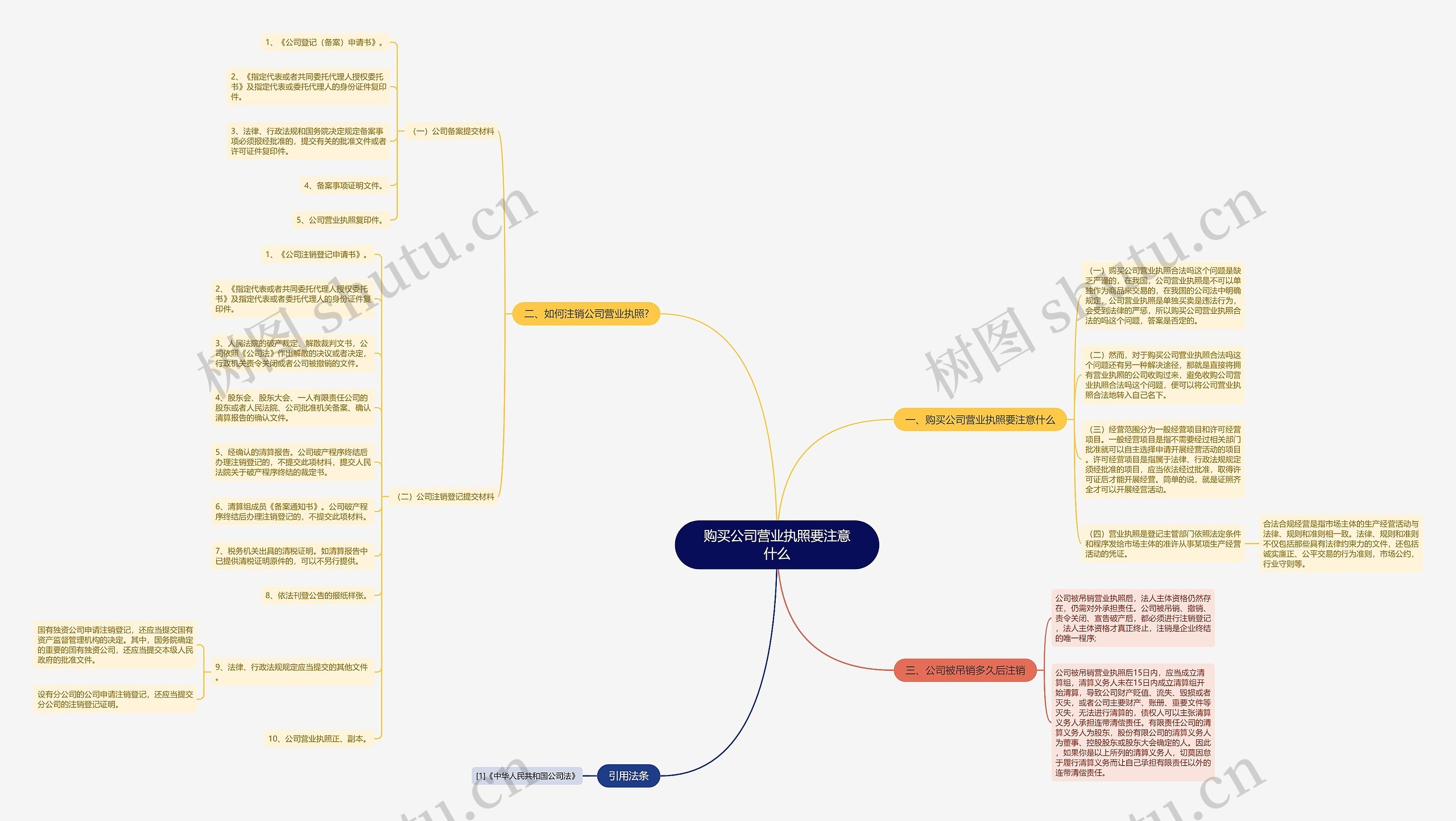 购买公司营业执照要注意什么思维导图