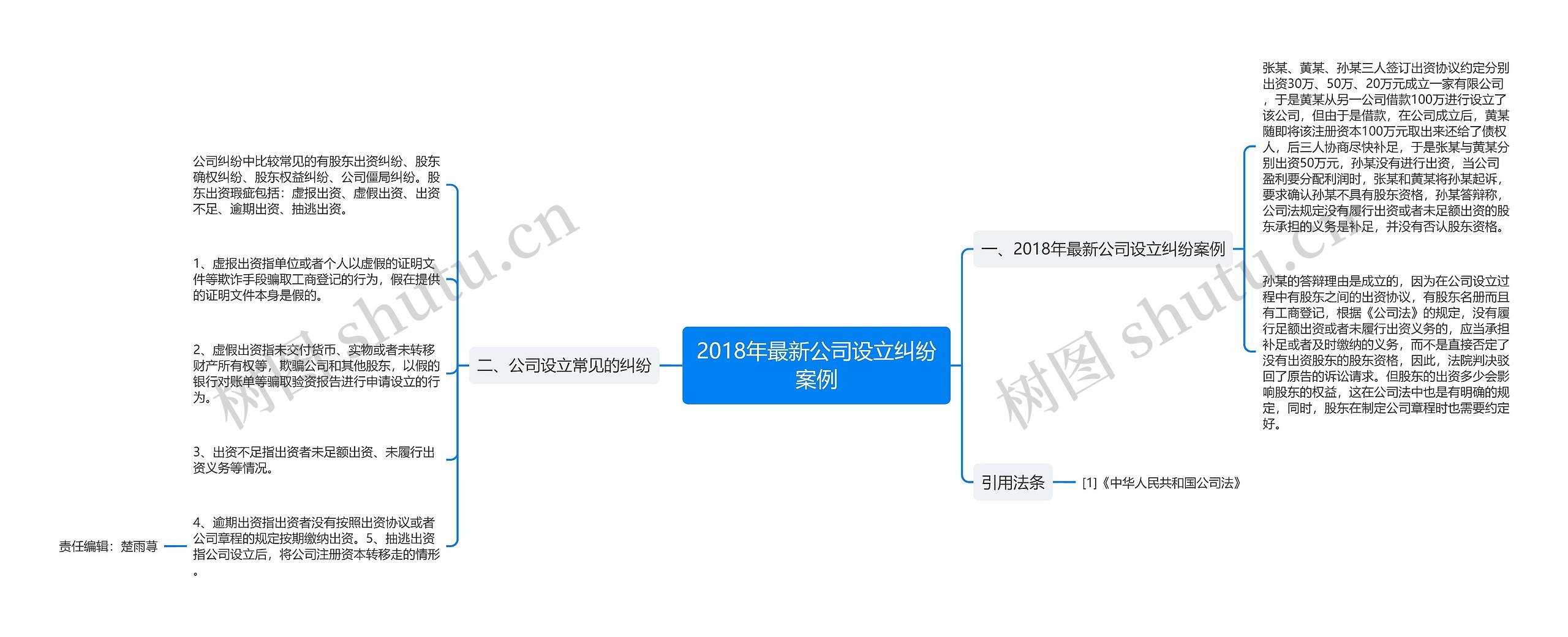 2018年最新公司设立纠纷案例思维导图