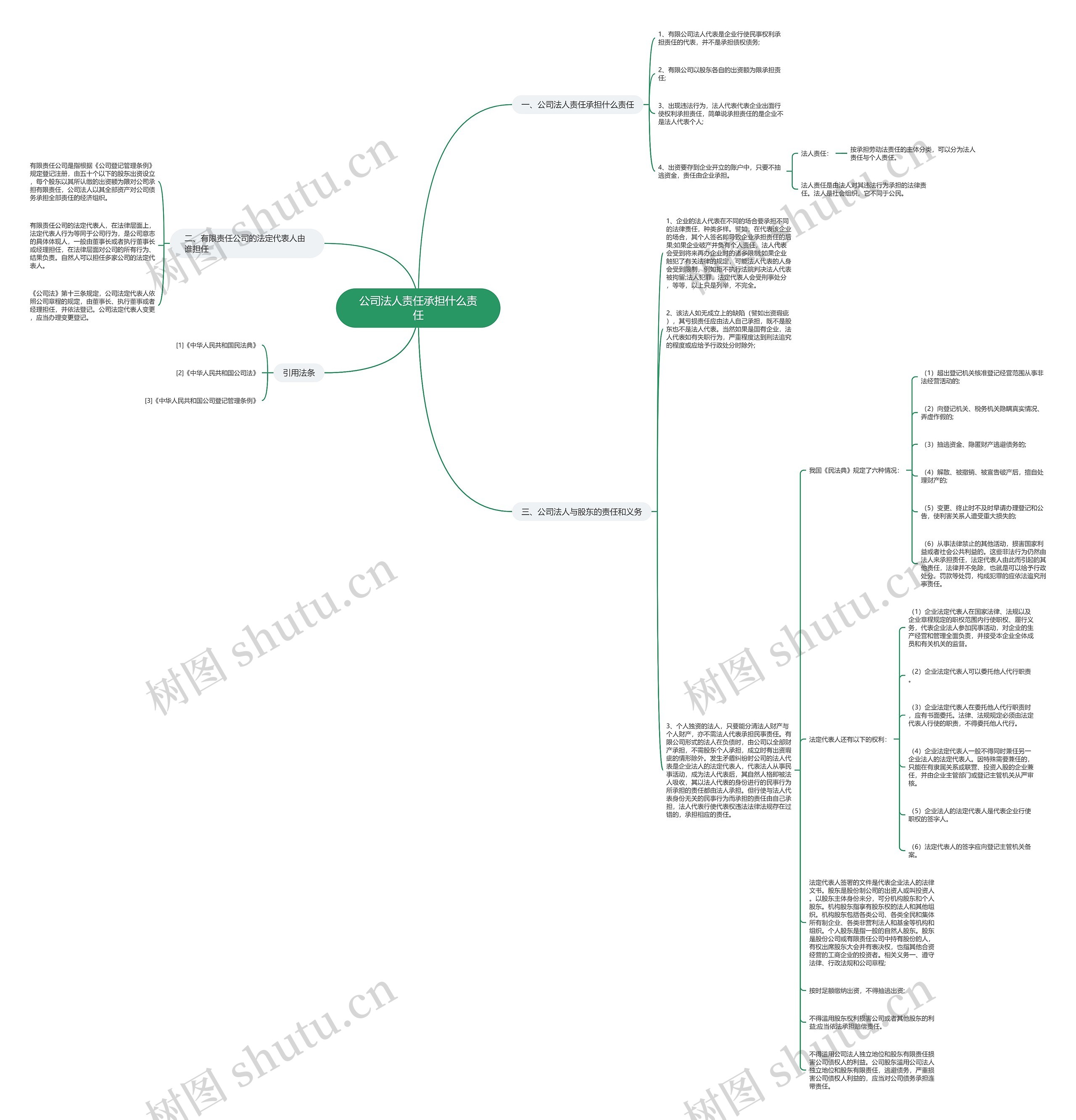 公司法人责任承担什么责任