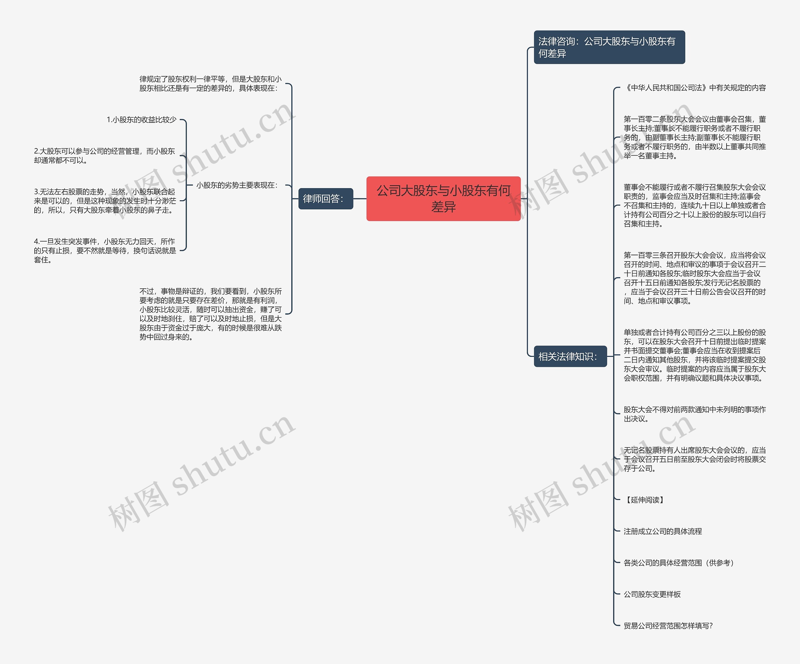 公司大股东与小股东有何差异思维导图