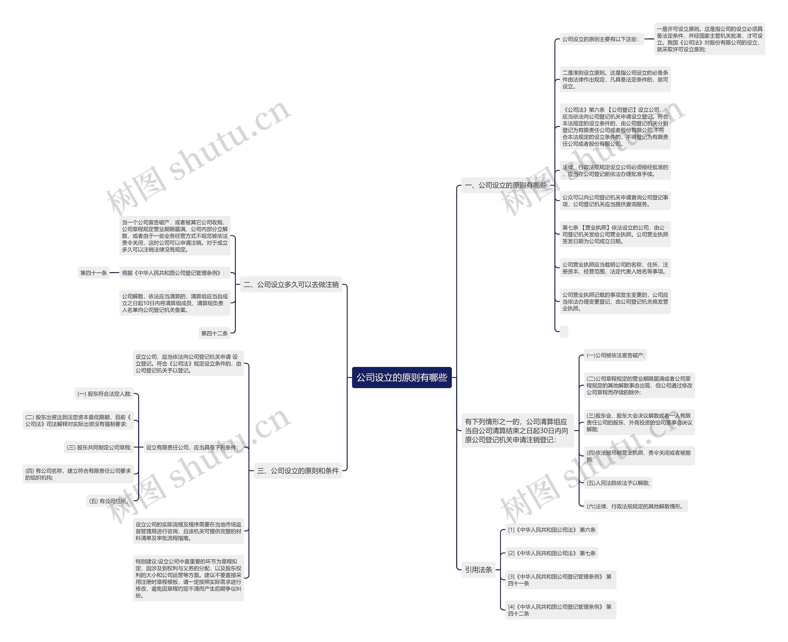 公司设立的原则有哪些思维导图