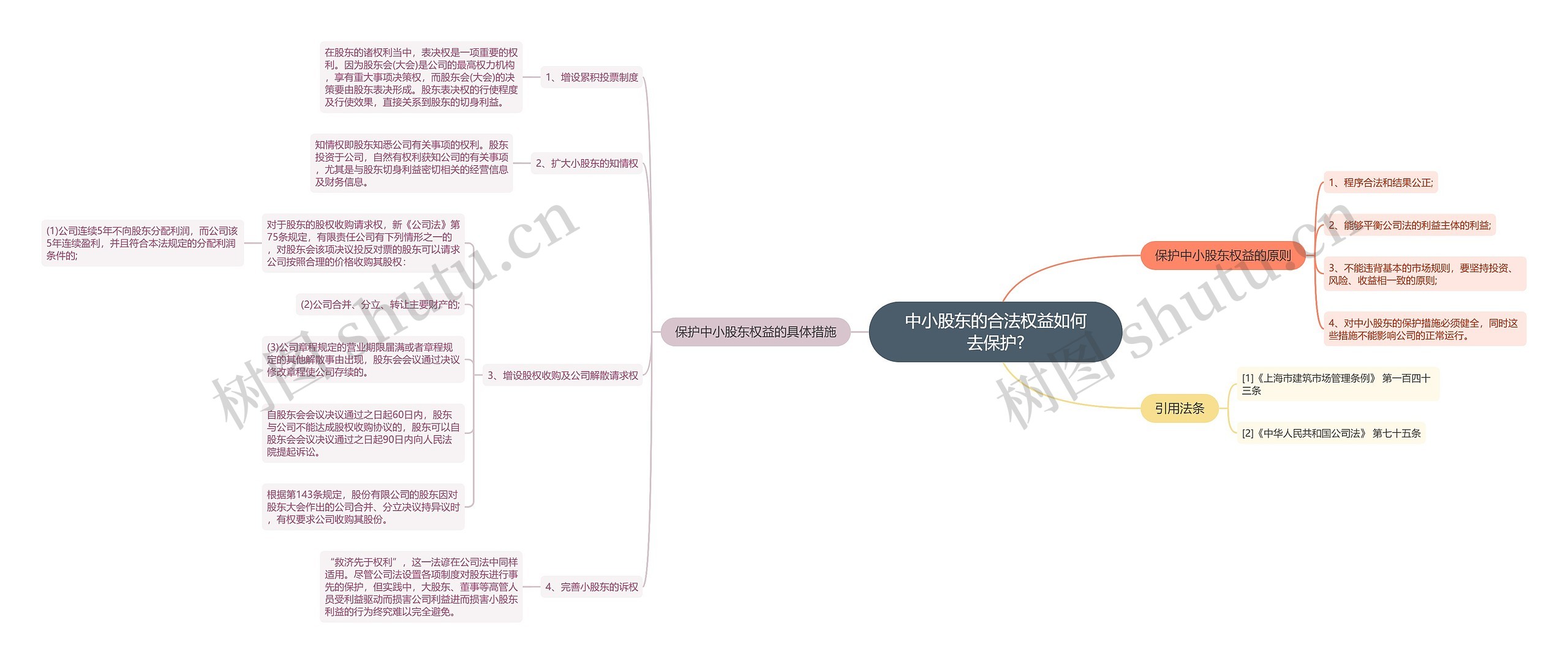 中小股东的合法权益如何去保护?思维导图