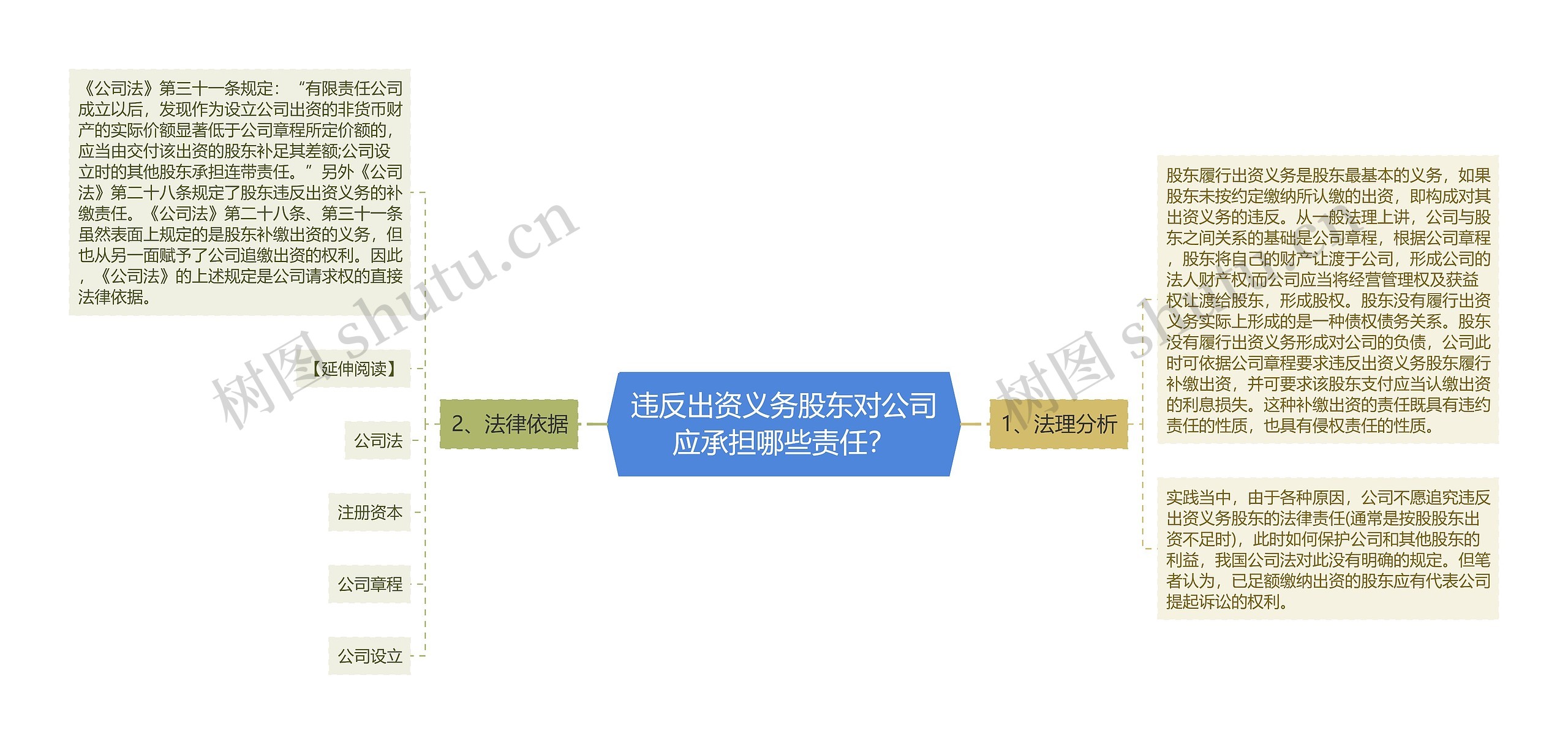 违反出资义务股东对公司应承担哪些责任？