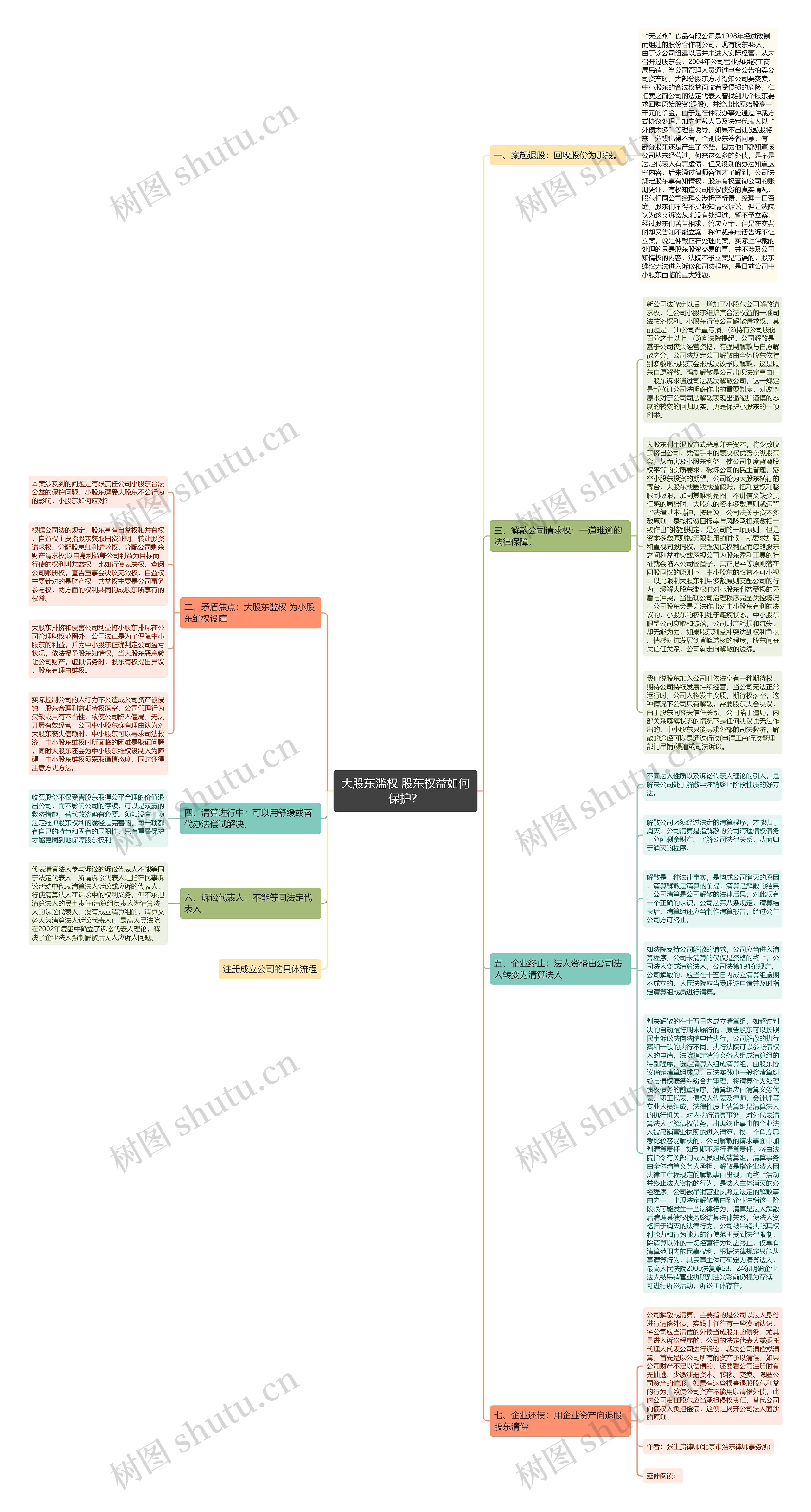大股东滥权 股东权益如何保护？思维导图