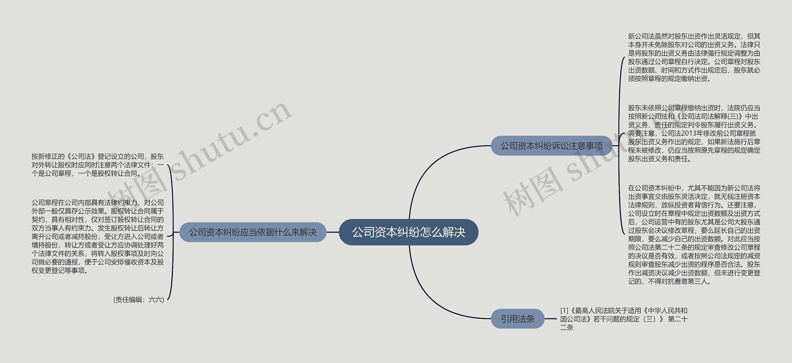 公司资本纠纷怎么解决思维导图