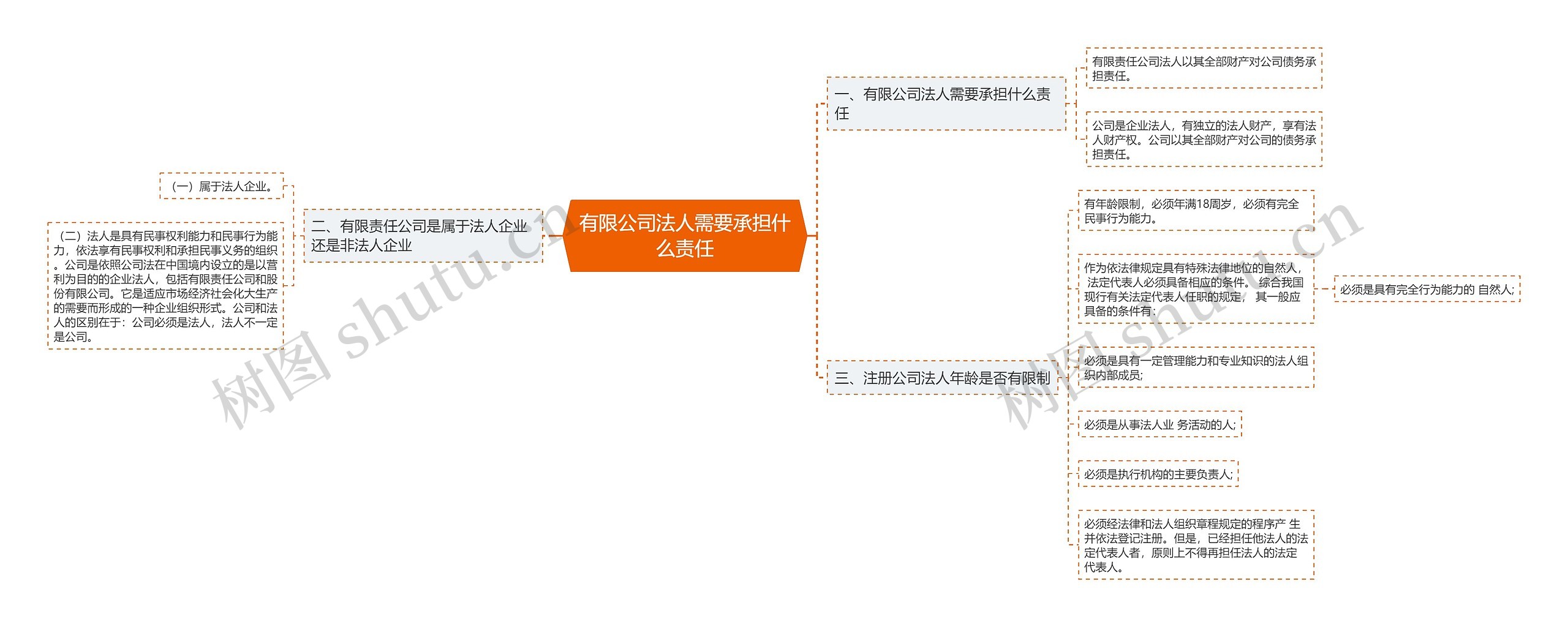 有限公司法人需要承担什么责任思维导图