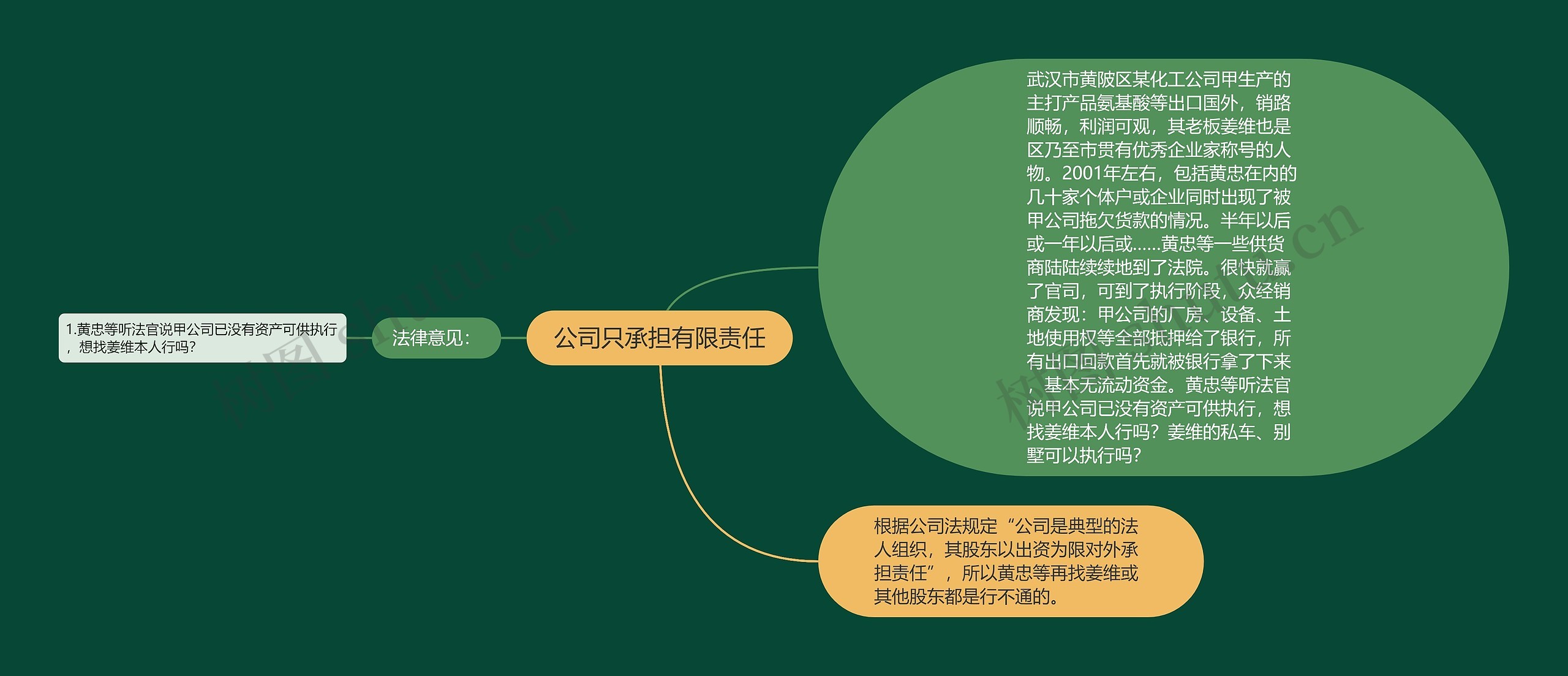 公司只承担有限责任思维导图