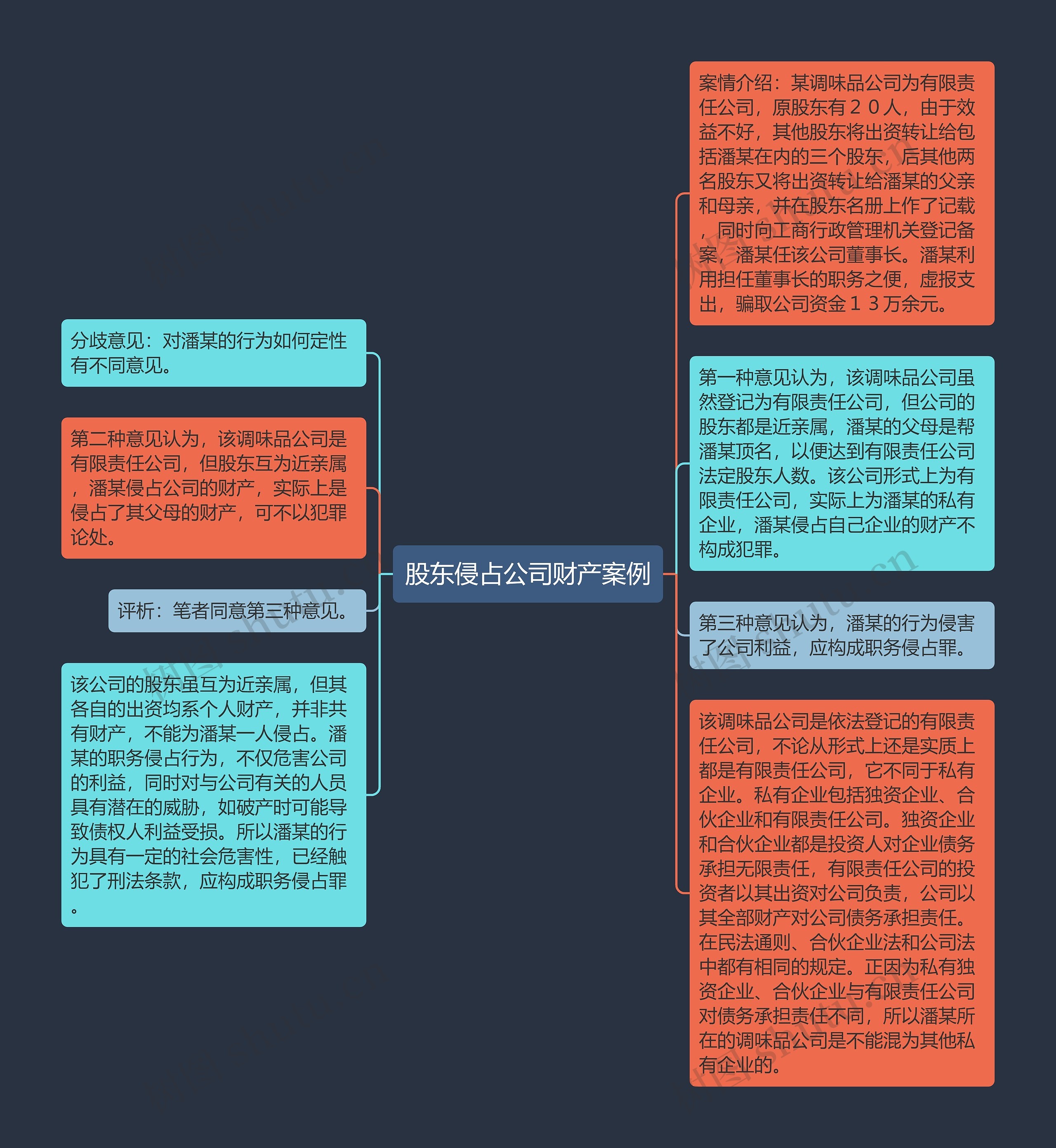 股东侵占公司财产案例思维导图