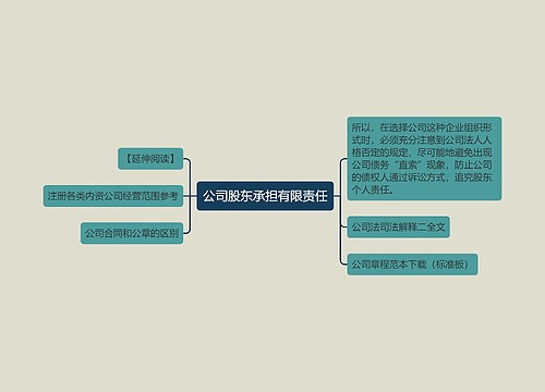 公司股东承担有限责任