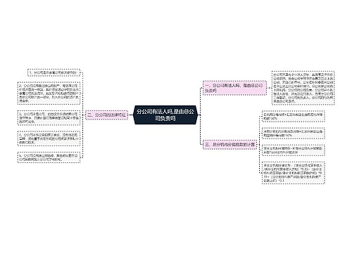 分公司有法人吗,是由总公司负责吗