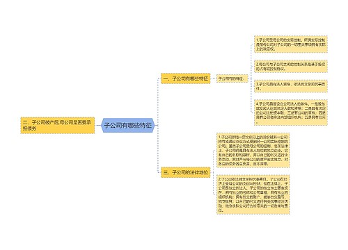 子公司有哪些特征