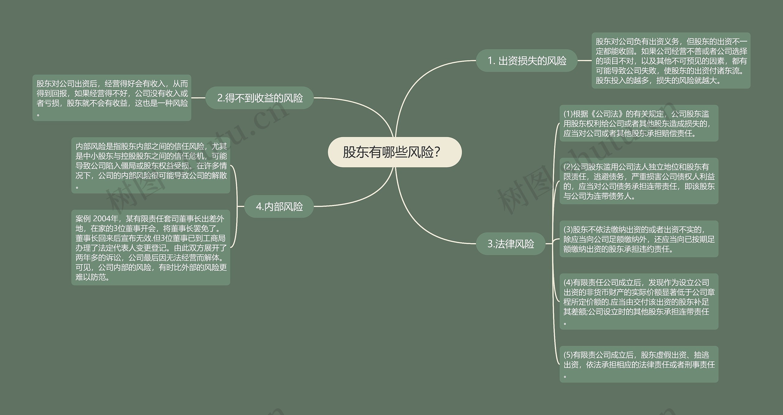 股东有哪些风险？思维导图