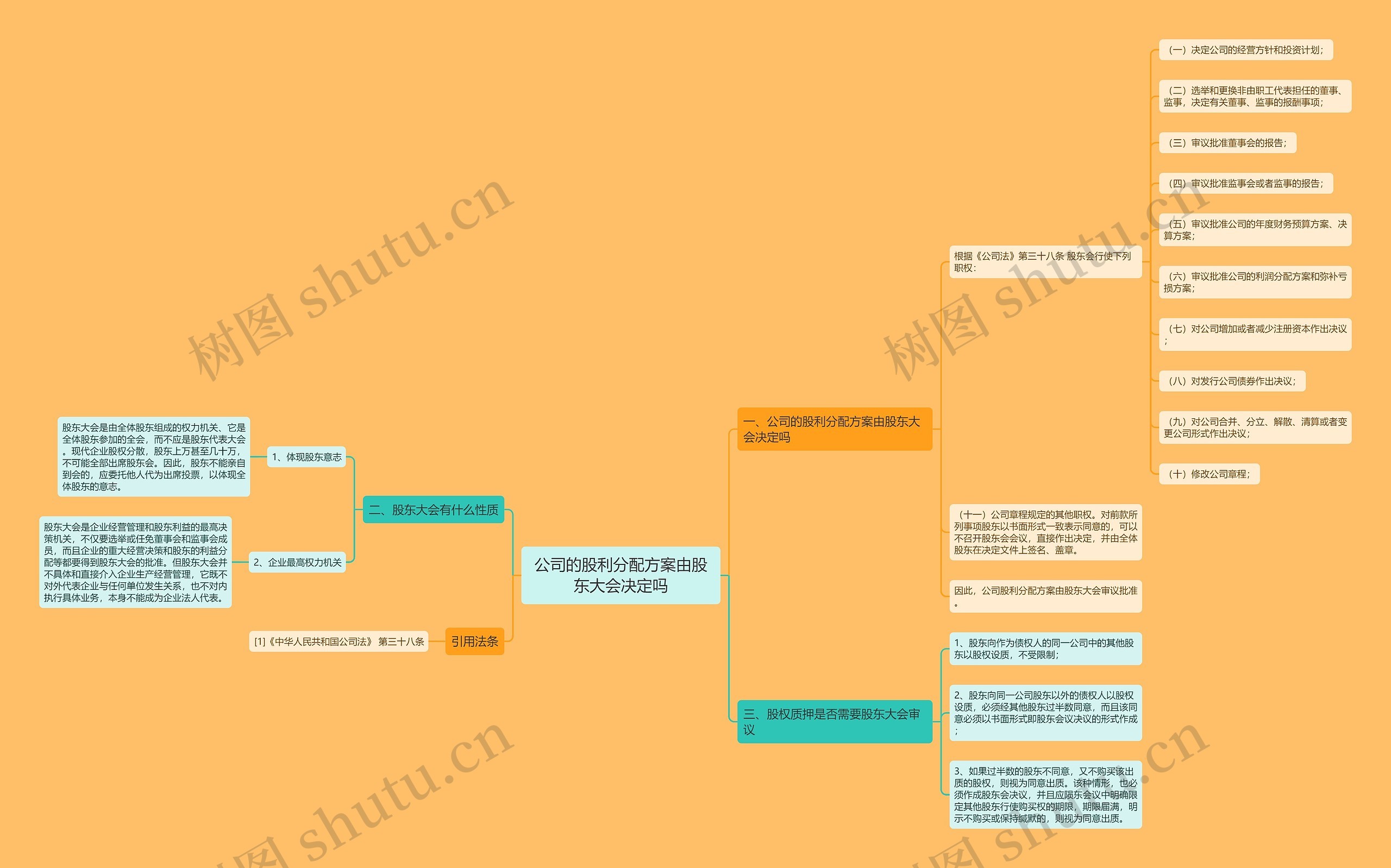 公司的股利分配方案由股东大会决定吗思维导图